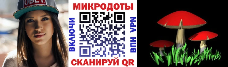 Купить где  Дмитров  Галлюциногенные грибы прущие грибы 